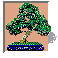 [Bonsai icon]